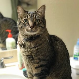 Meet your Posher, Kalyn